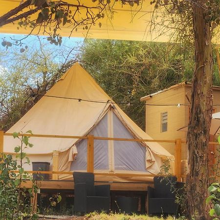 Glamping Dunas Del Sol サン・ペドロ・デ・アタカマ エクステリア 写真