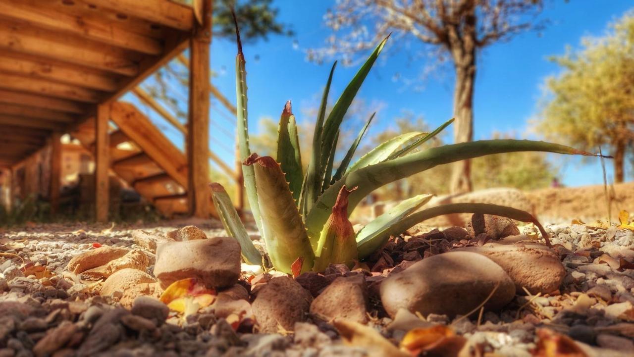 Glamping Dunas Del Sol サン・ペドロ・デ・アタカマ エクステリア 写真