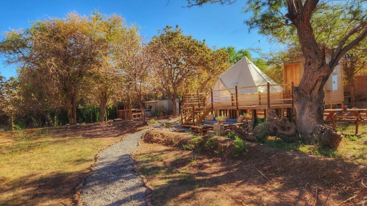 Glamping Dunas Del Sol サン・ペドロ・デ・アタカマ エクステリア 写真
