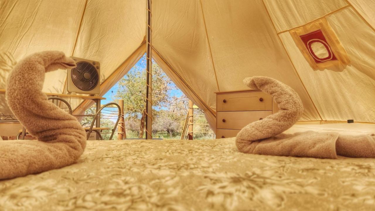 Glamping Dunas Del Sol サン・ペドロ・デ・アタカマ エクステリア 写真
