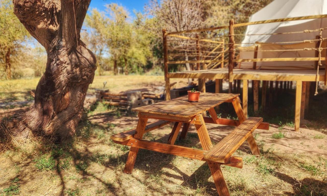 Glamping Dunas Del Sol サン・ペドロ・デ・アタカマ エクステリア 写真